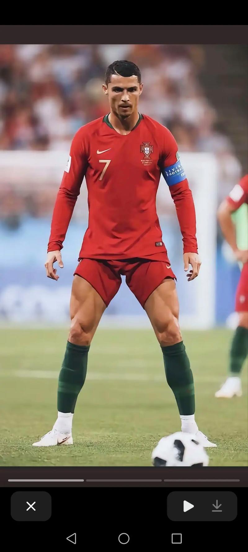 与条款的